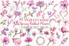 Spring Redbud Flower Clipart Bundle