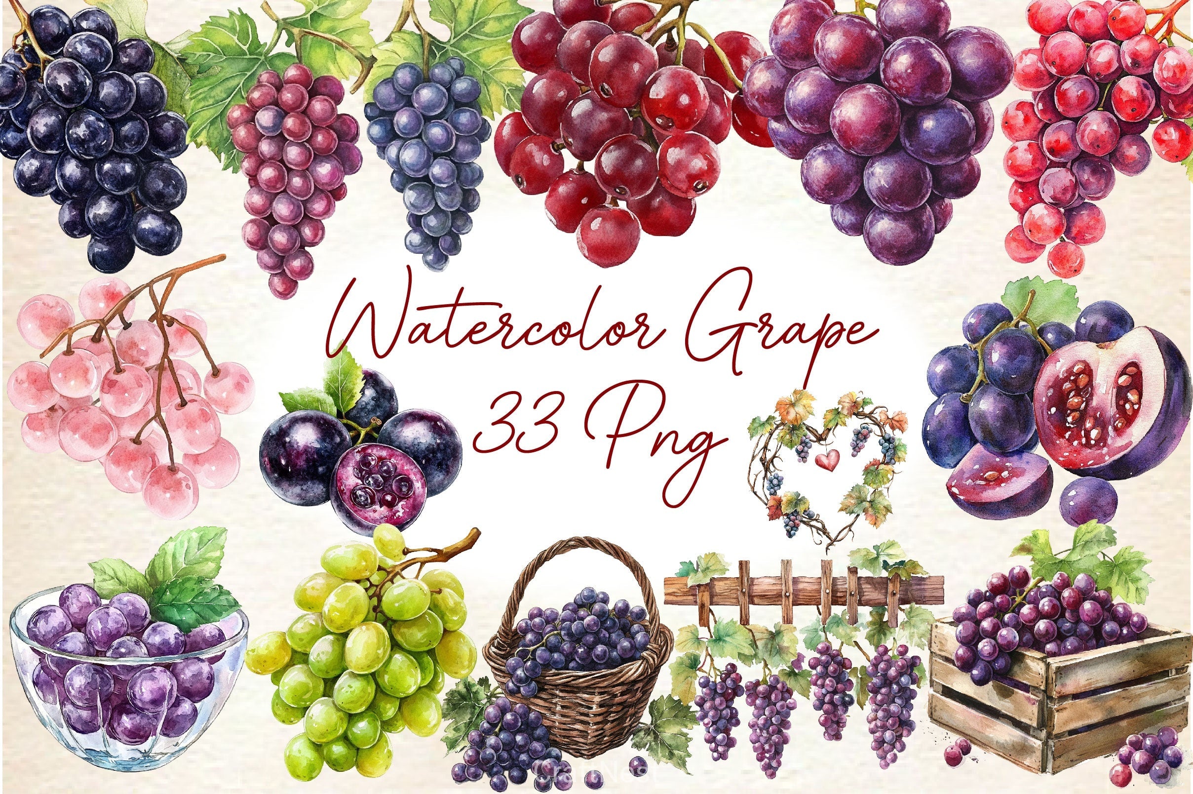 Grape Clipart Bundle 2