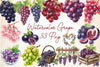 Grape Clipart Bundle 2