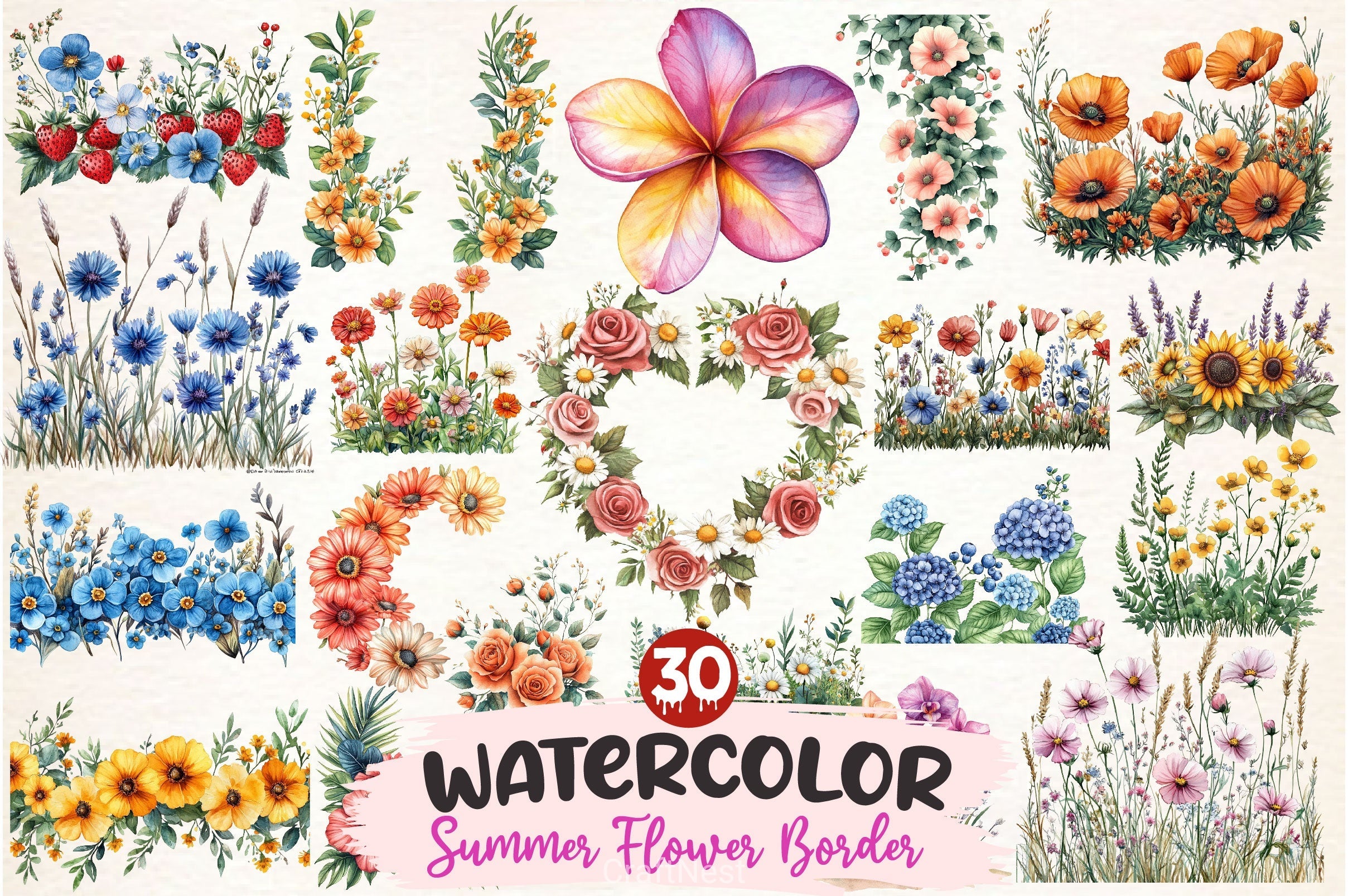 Summer Flower Border Clipart Bundle