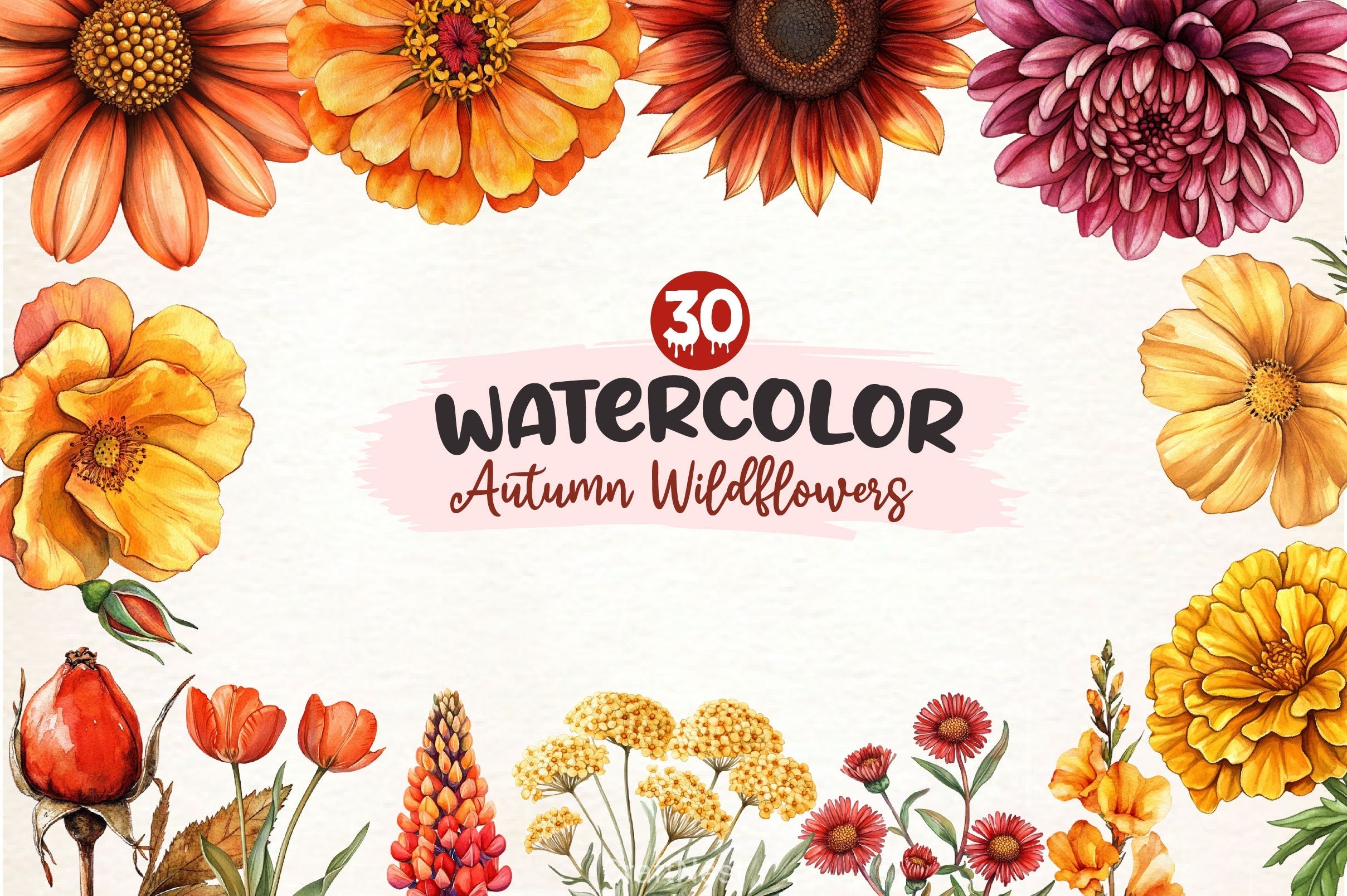 Autumn Wildflowers Clipart Bundle 2