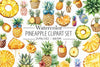 Pineapple Clipart Set