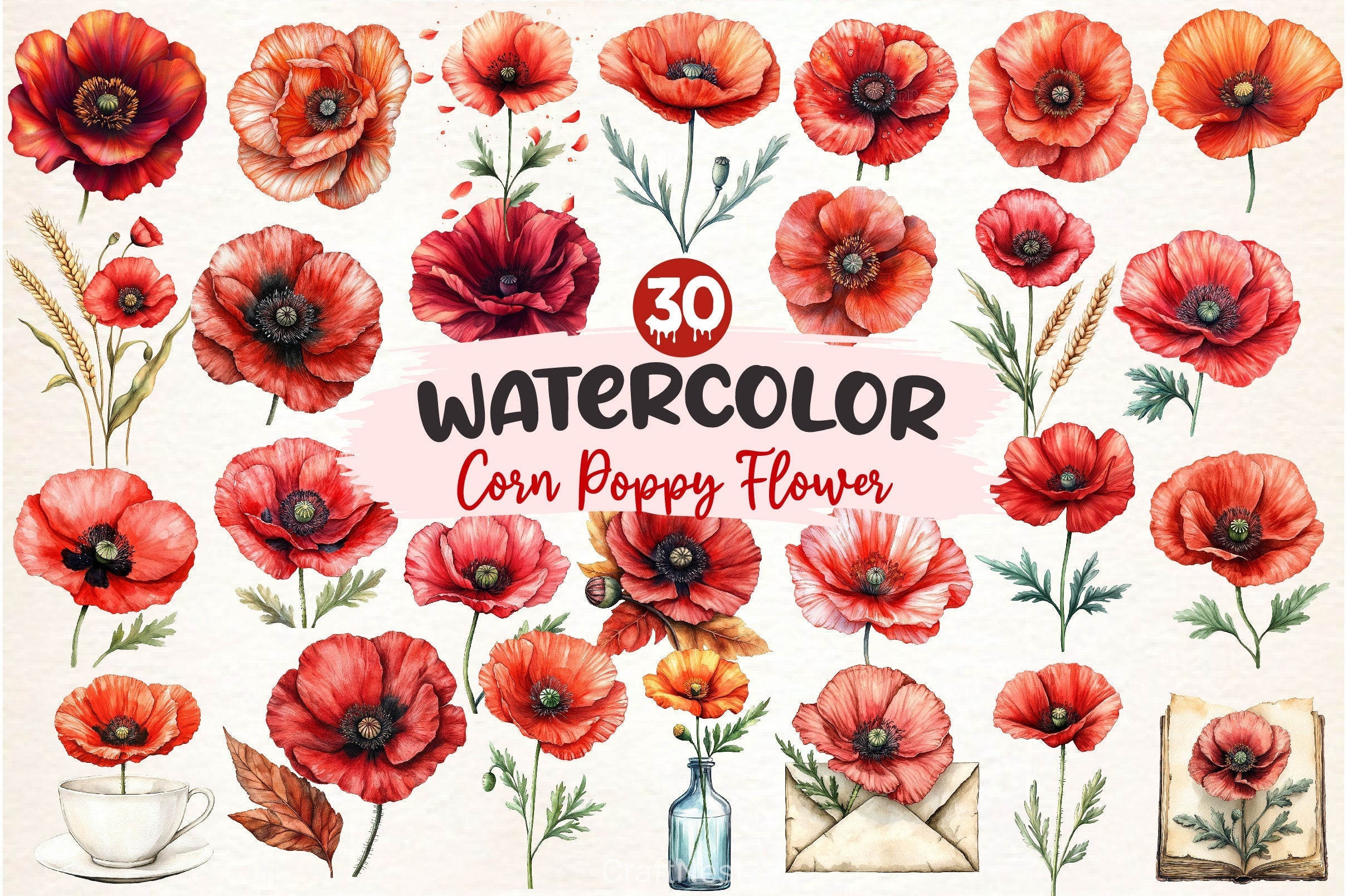Corn Poppy Flower Bloom Clipart Bundle 2
