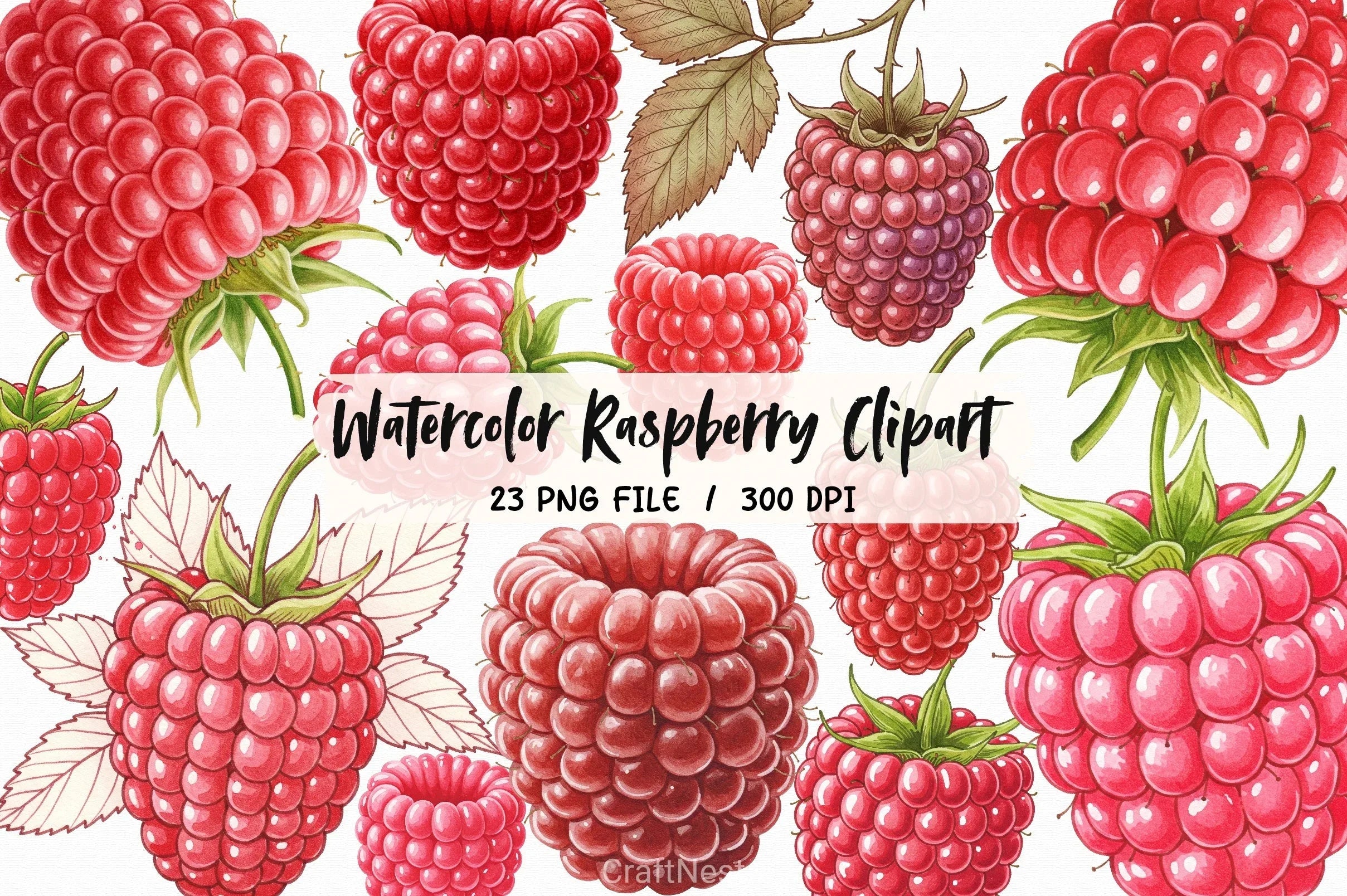 Raspberry Clipart Bundle 1 - CraftNest - Digital Crafting and Art