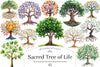 Sacred Tree of Life Clipart Bundle