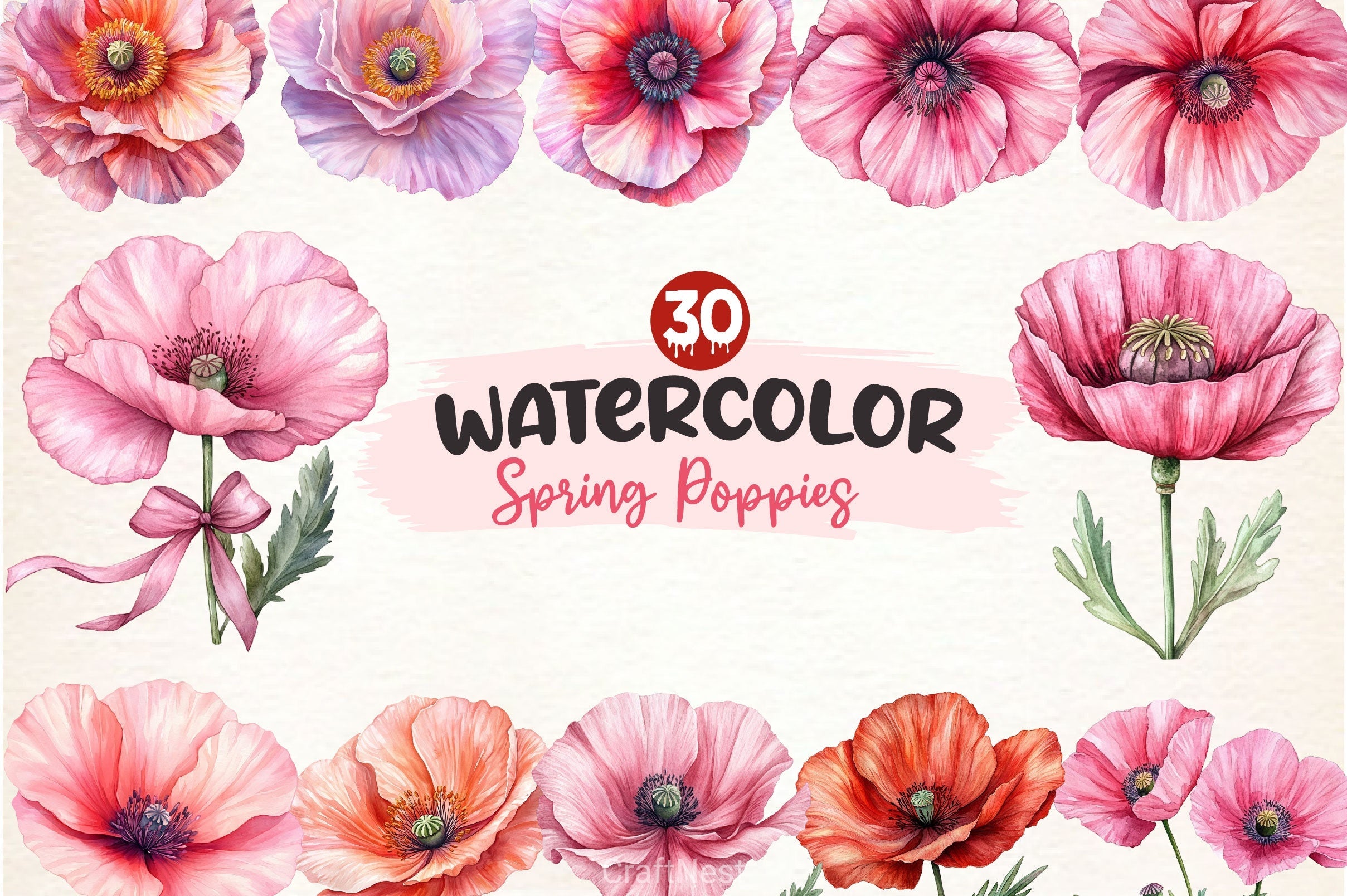 Spring Poppies Clipart Bundle