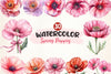 Spring Poppies Clipart Bundle
