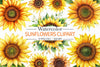 Sunflowers Clipart Bundle