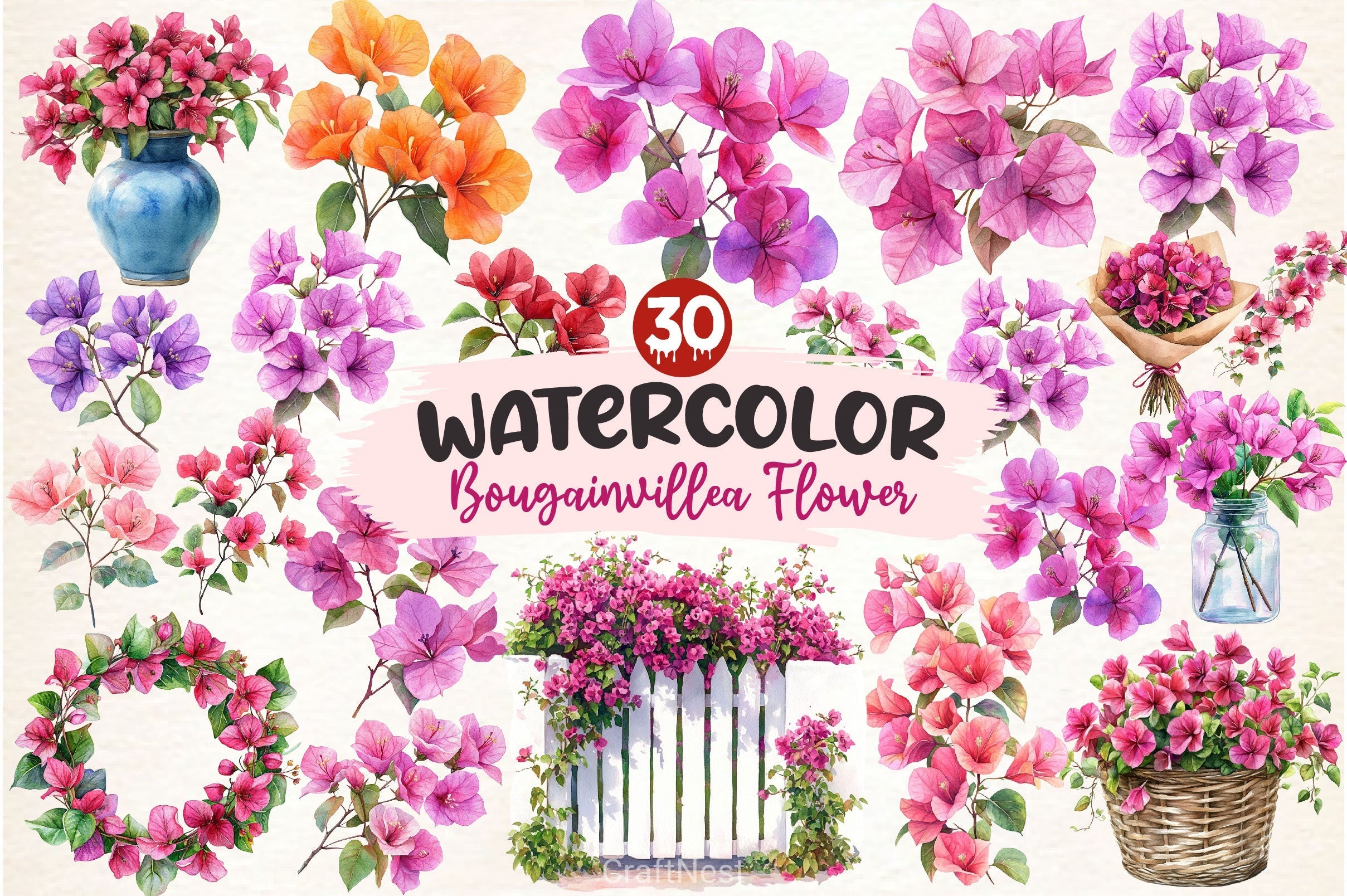 Bougainvillea Flower Clipart Bundle 4
