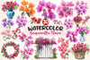 Bougainvillea Flower Clipart Bundle 4