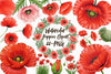 Poppies Clipart Bundle
