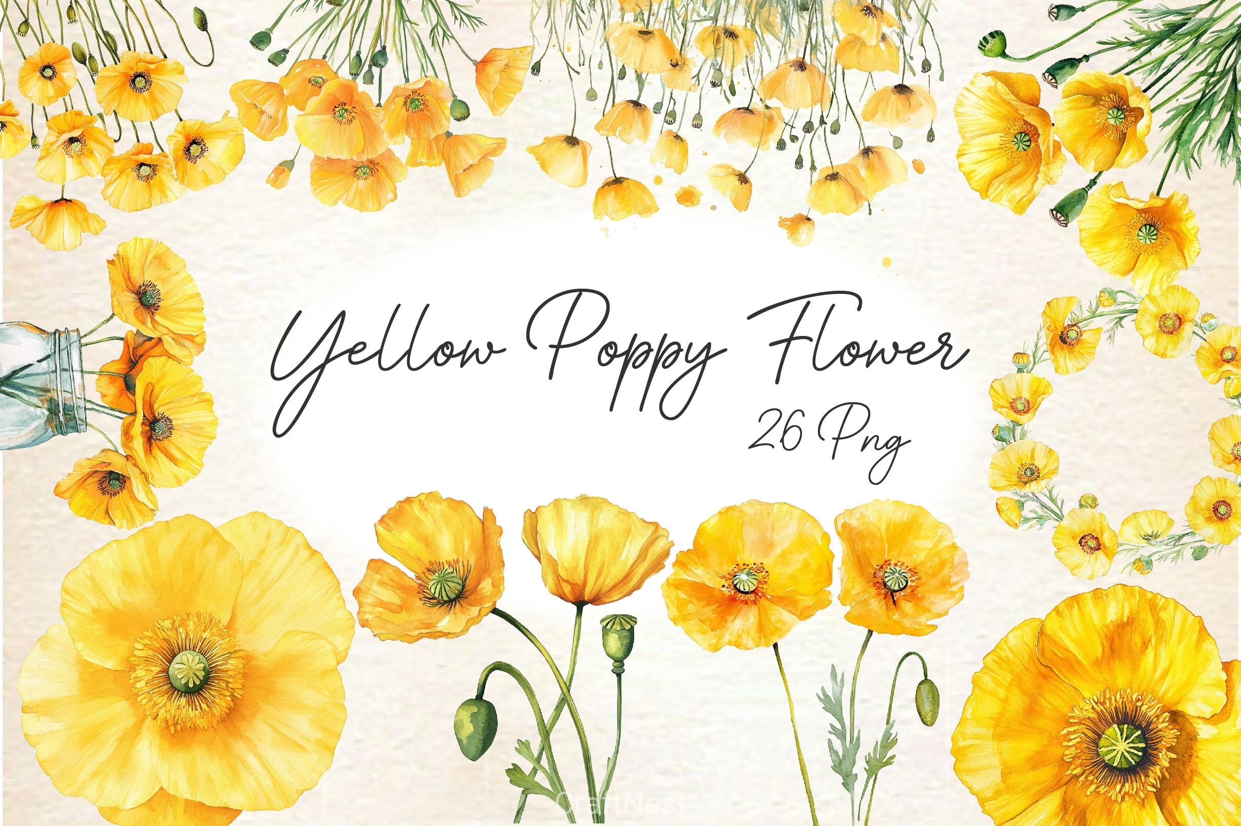 Yellow Poppy Flower Clipart Bundle