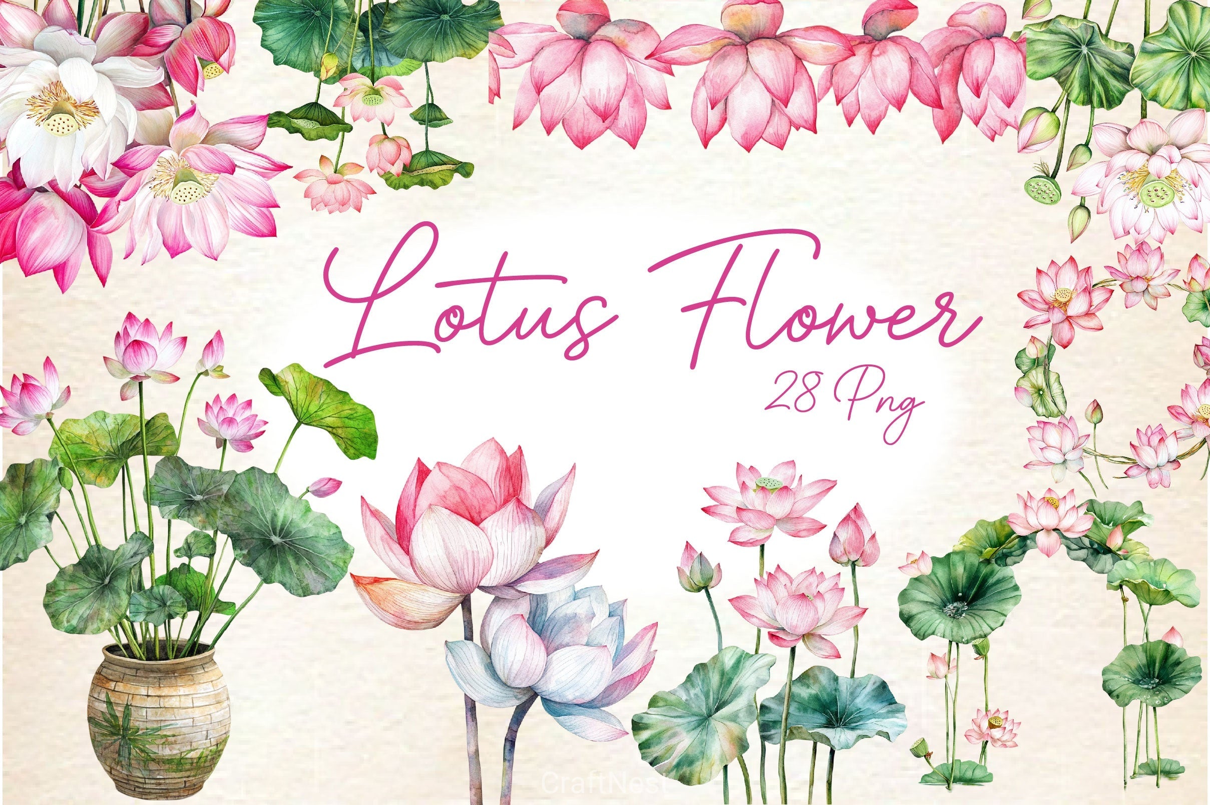 Lotus Flower Arrangements Clipart Bundle