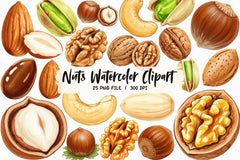 Nuts Clipart Bundle 5 - CraftNest - Digital Crafting and Art