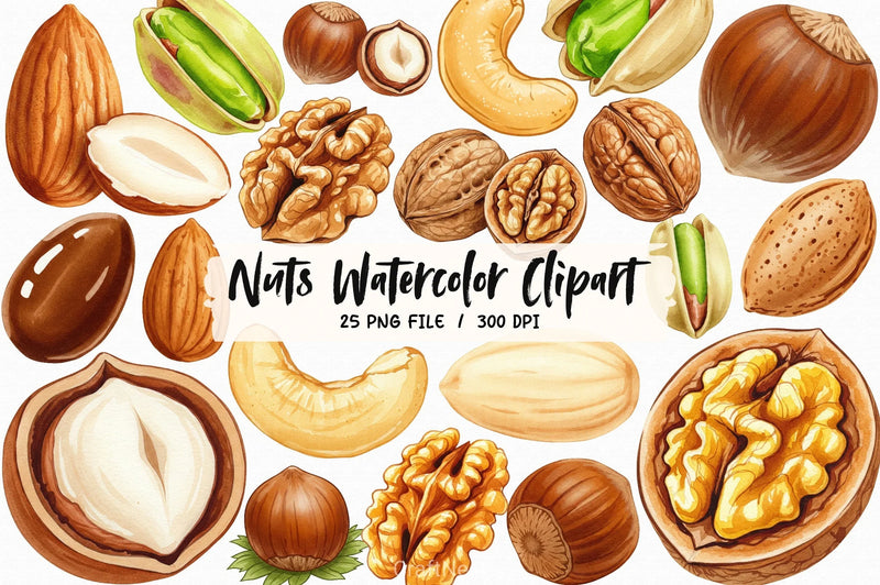 Nuts Clipart Bundle 5 - CraftNest - Digital Crafting and Art