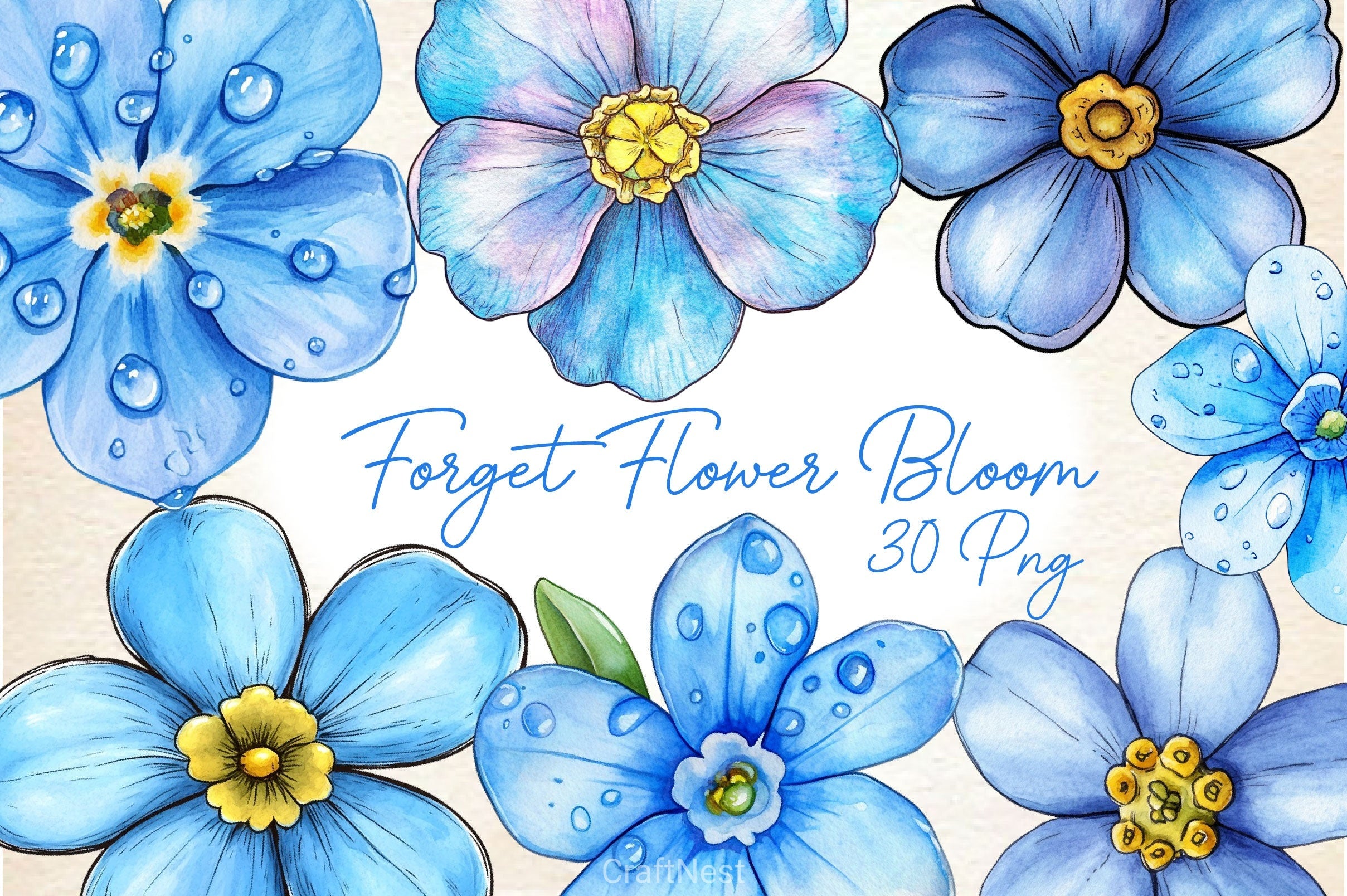Forget Me Not Flower Bloom Clipart Bundle 2