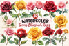 Spring Lithograph Roses Clipart Bundle
