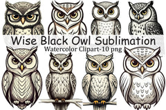 Wise Black Owl Clipart Bundle - CraftNest - Digital Crafting and Art