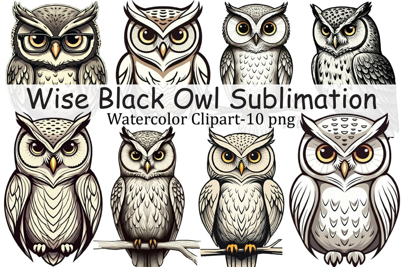 Wise Black Owl Clipart Bundle - CraftNest - Digital Crafting and Art
