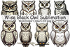 Wise Black Owl Clipart Bundle