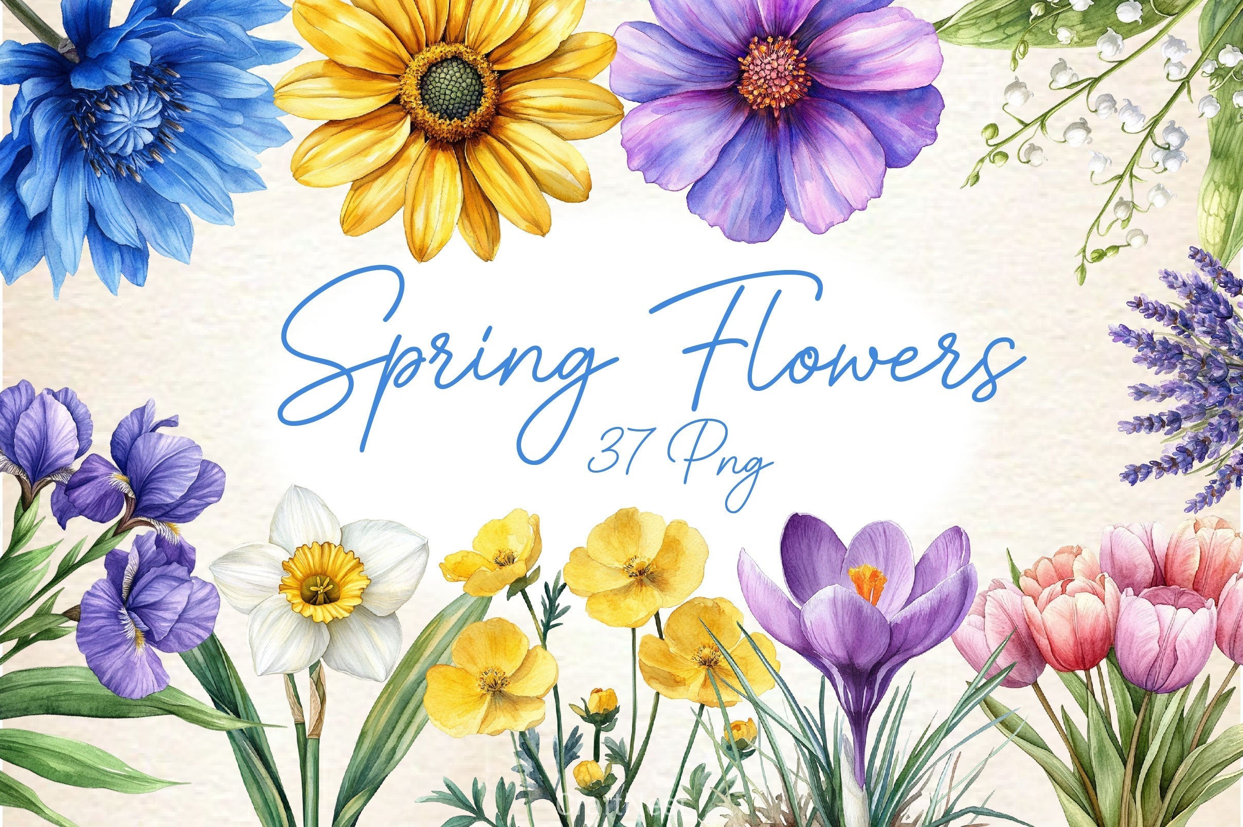 Spring Flowers Clipart Bundle 4