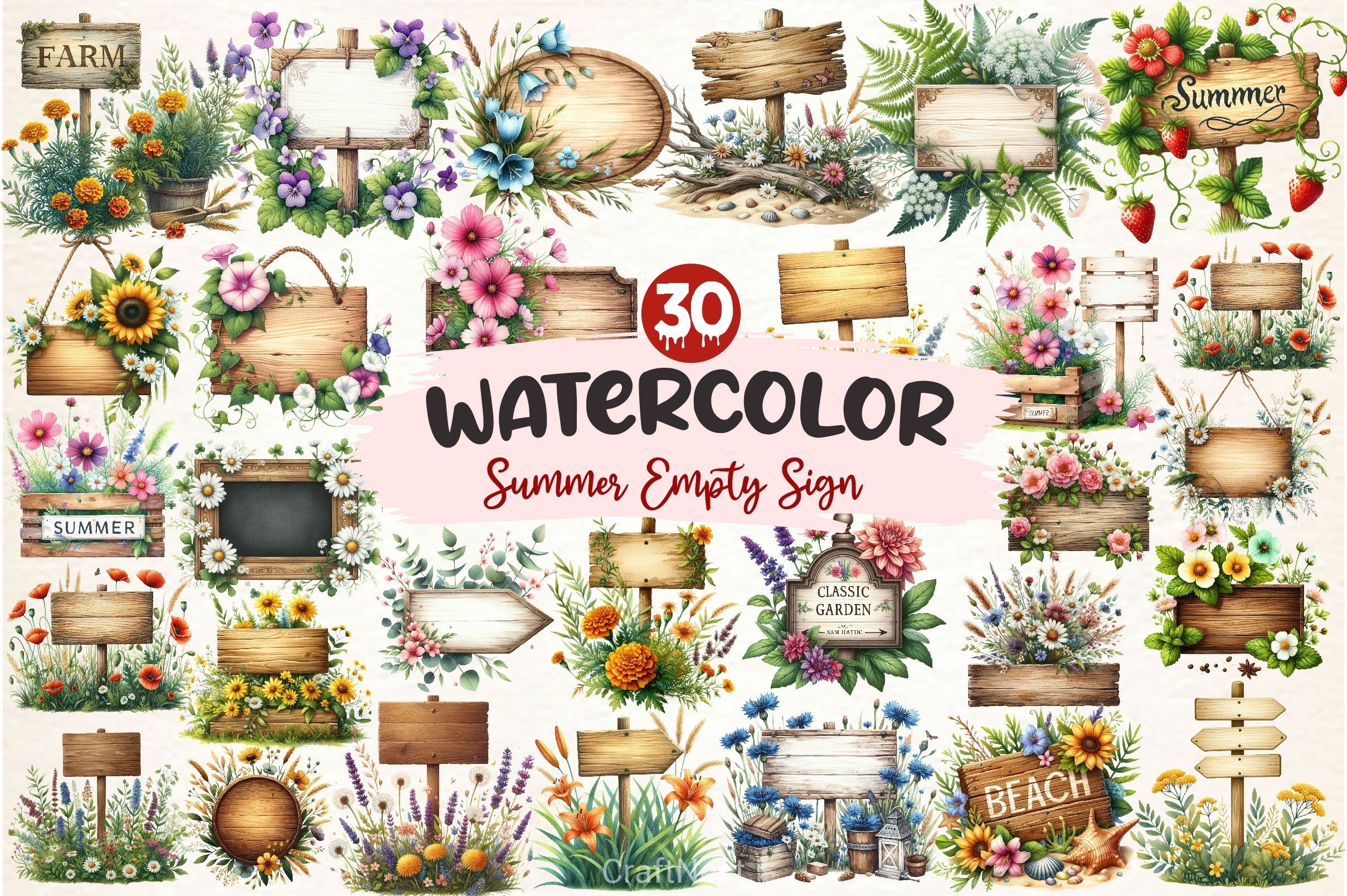 Summer Empty Sign Wildflowers Clipart Bundle 2