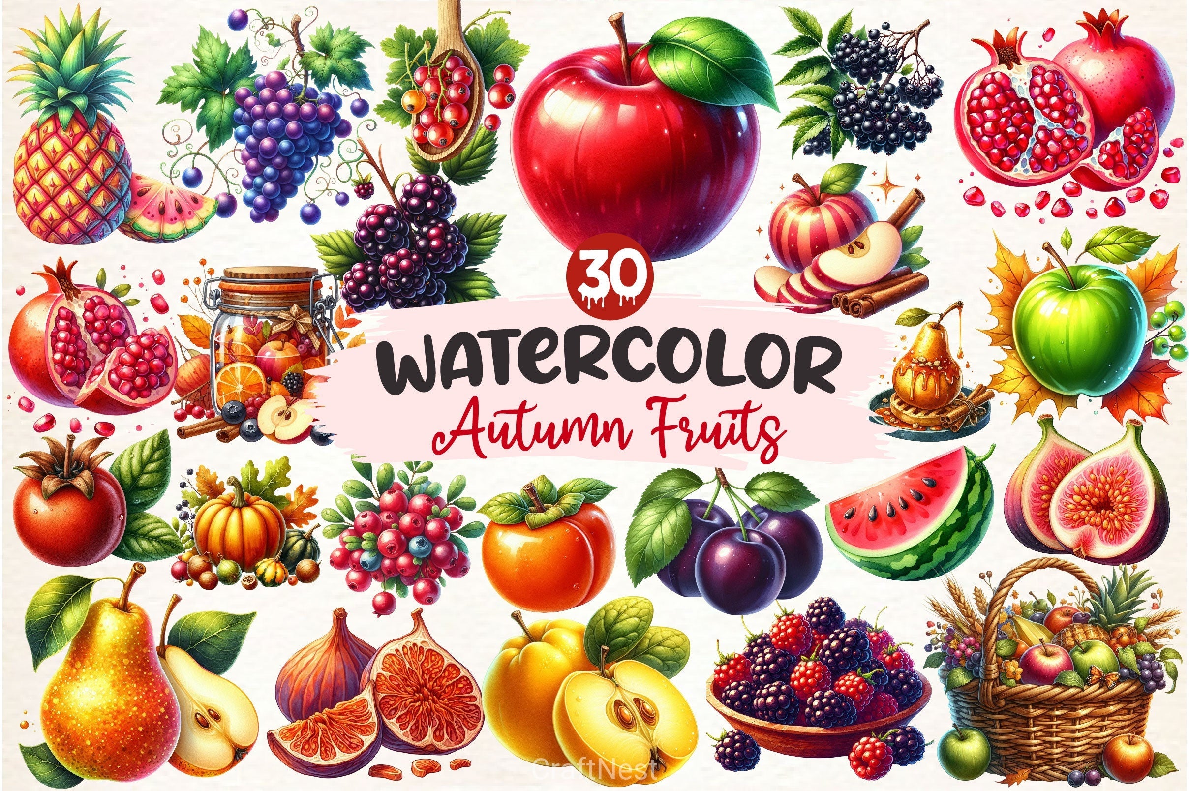 Autumn Fruits Clipart Bundle 4