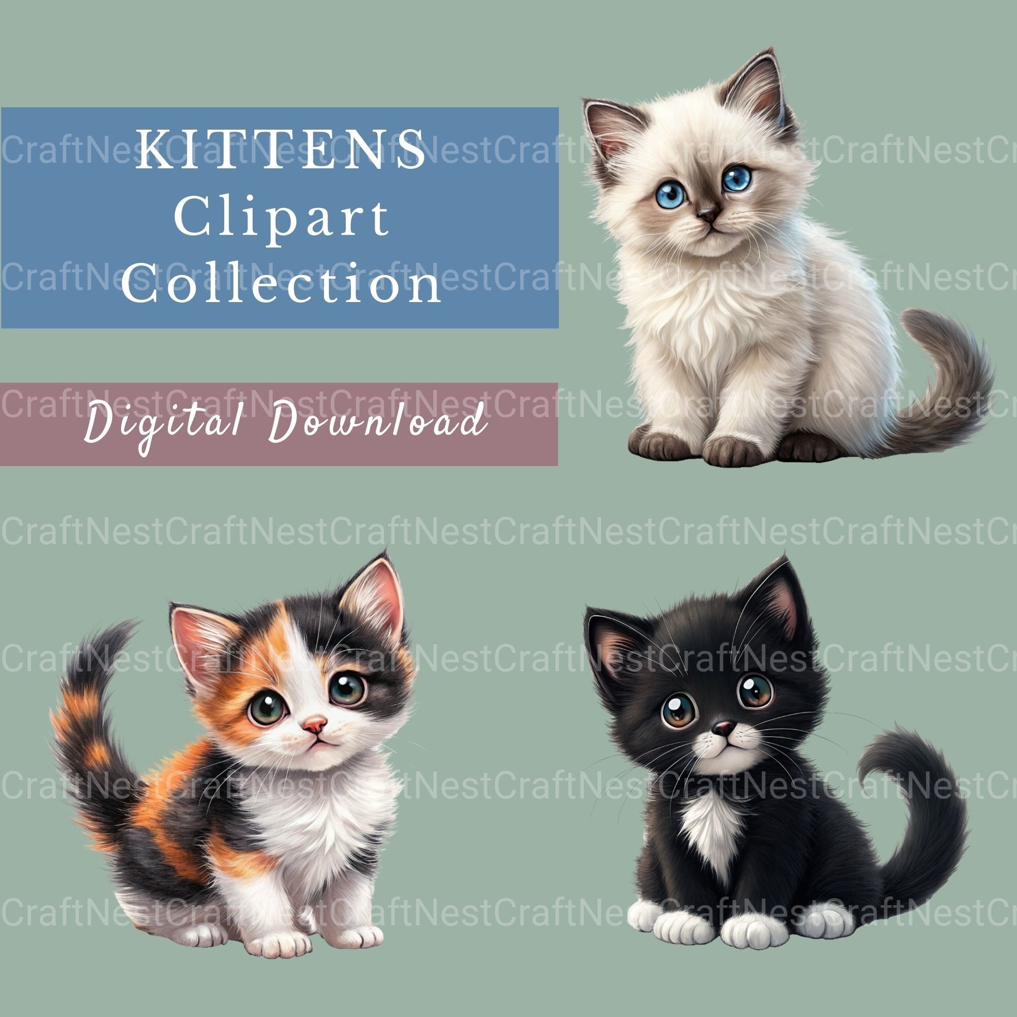 Kittens Clipart Bundle 4