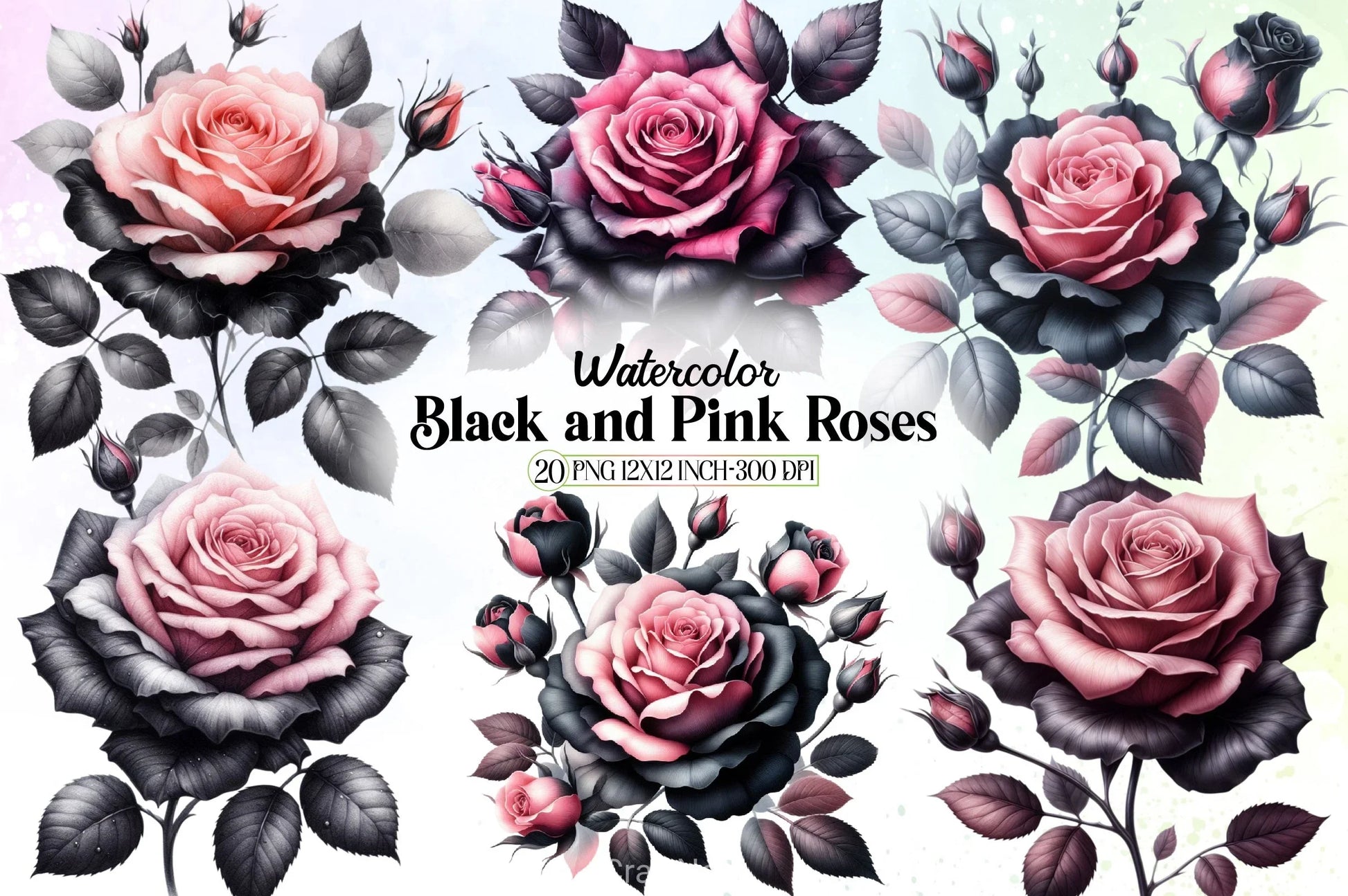 Black & Pink Roses Clipart Bundle - CraftNest - Digital Crafting and Art