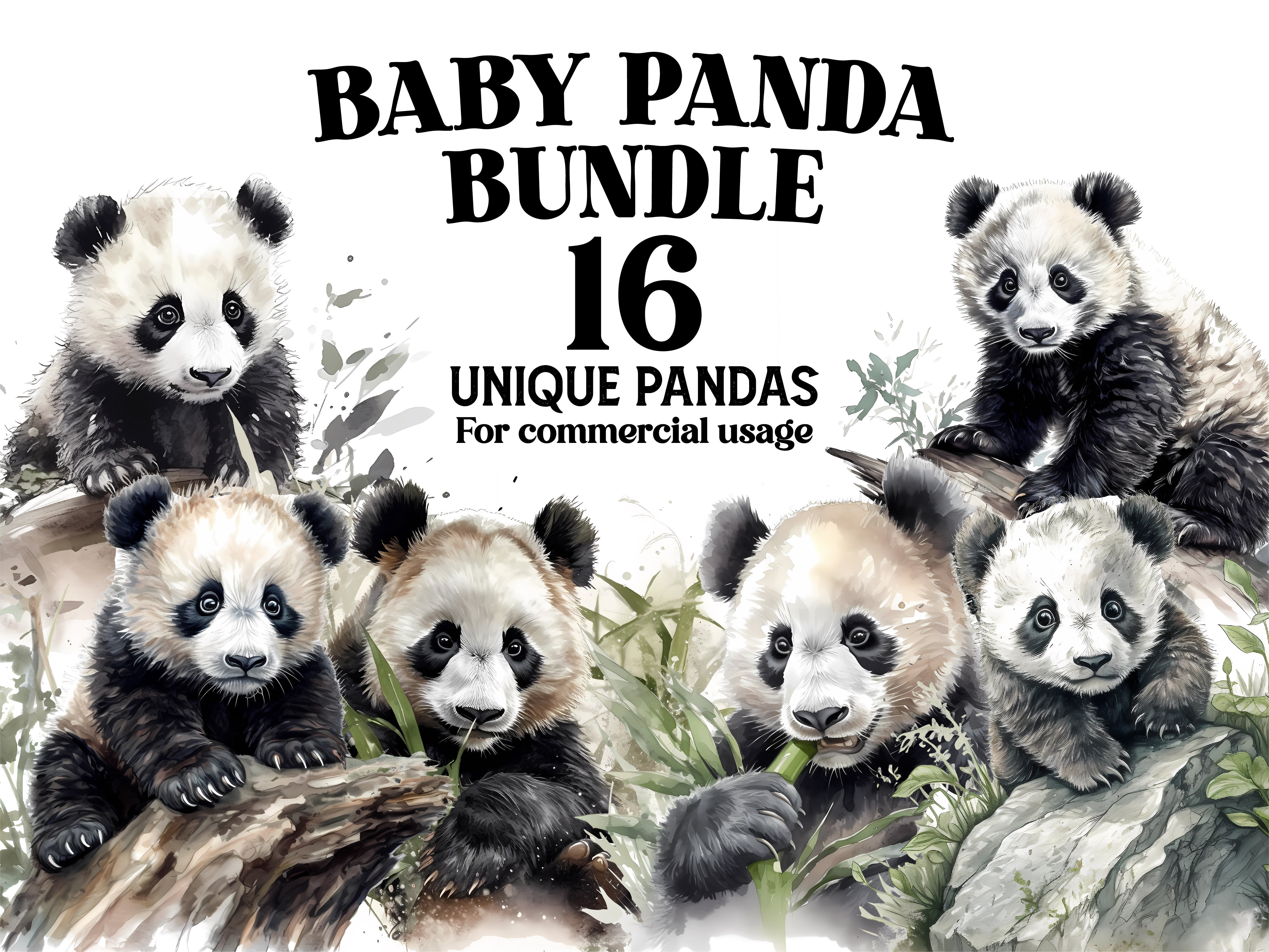 Baby Pandas