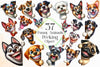 Funny Animals Peeking Around Corner Clipart Bundle 5