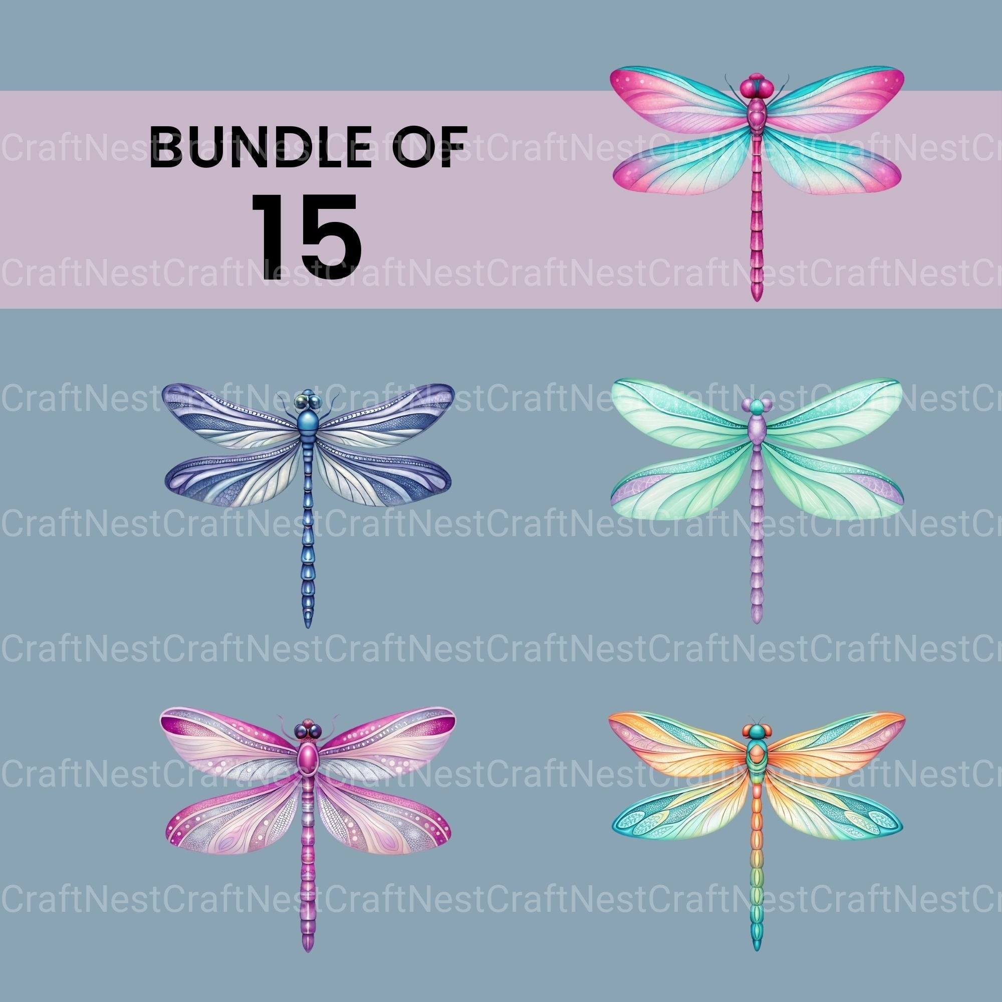 Dragonflies Clipart Bundle 2
