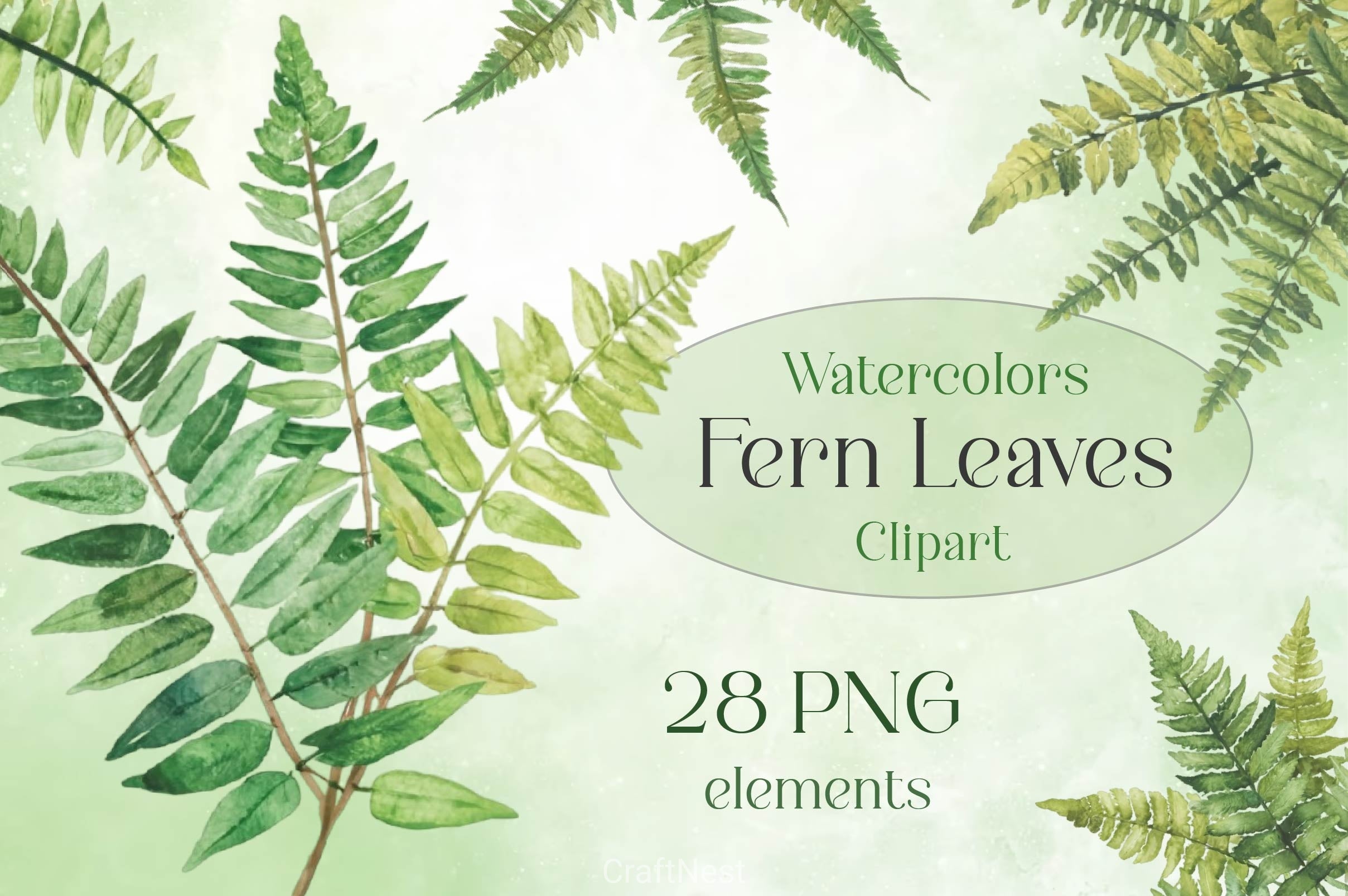 Fern Green Leaves Clipart Bundle