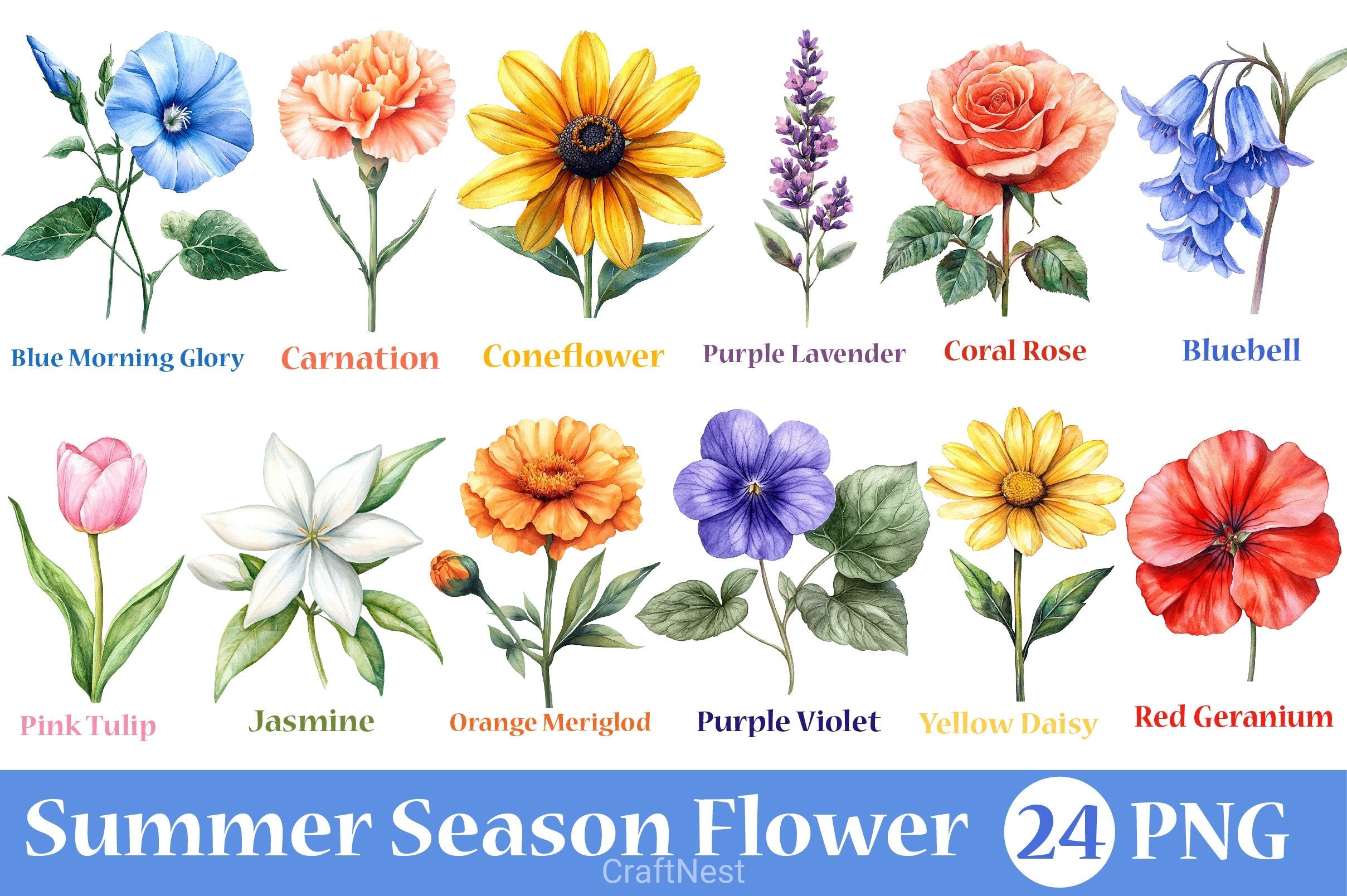Summer Season Flower Clipart Bundle
