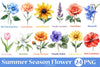 Summer Season Flower Clipart Bundle