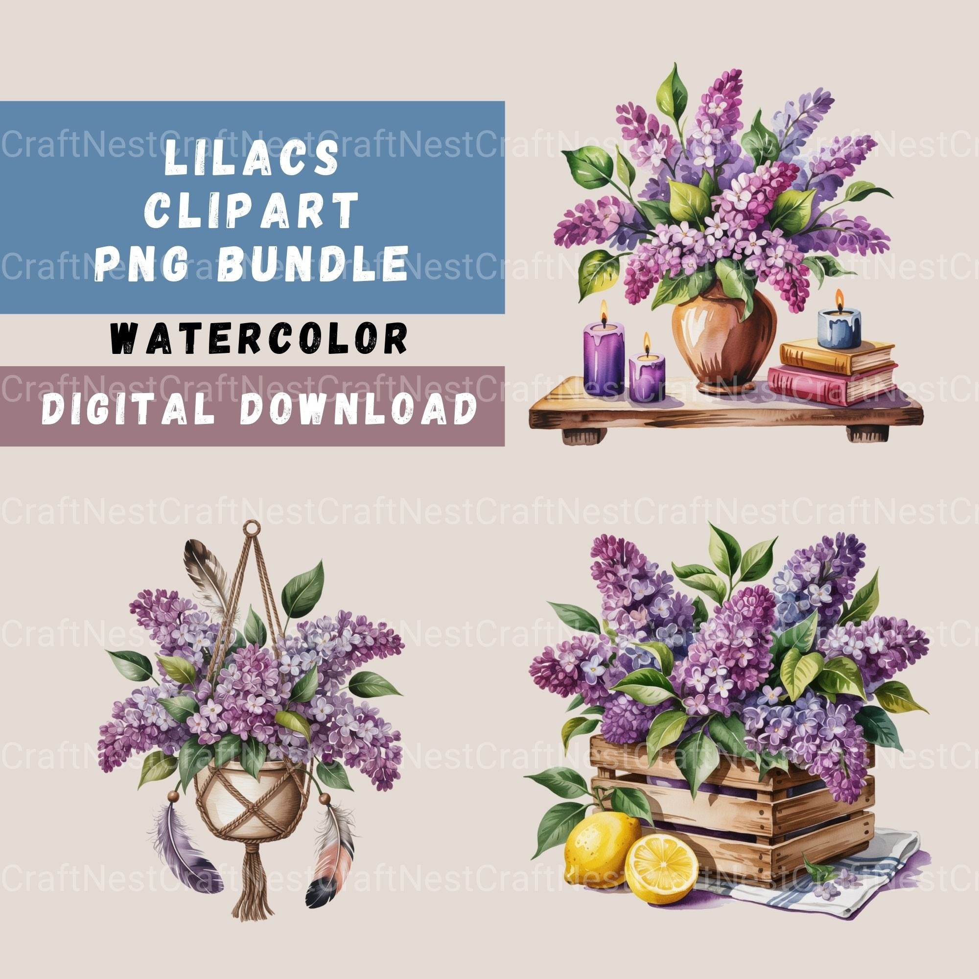 Lilacs Clipart Bundle
