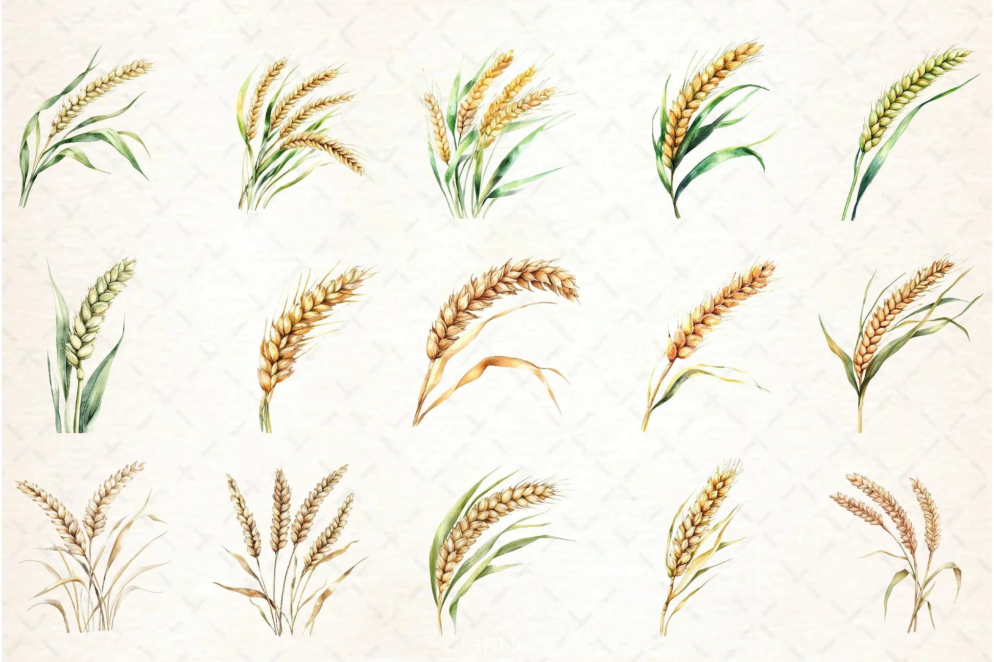 Wheat Clipart Bundle - CraftNest - Digital Crafting and Art