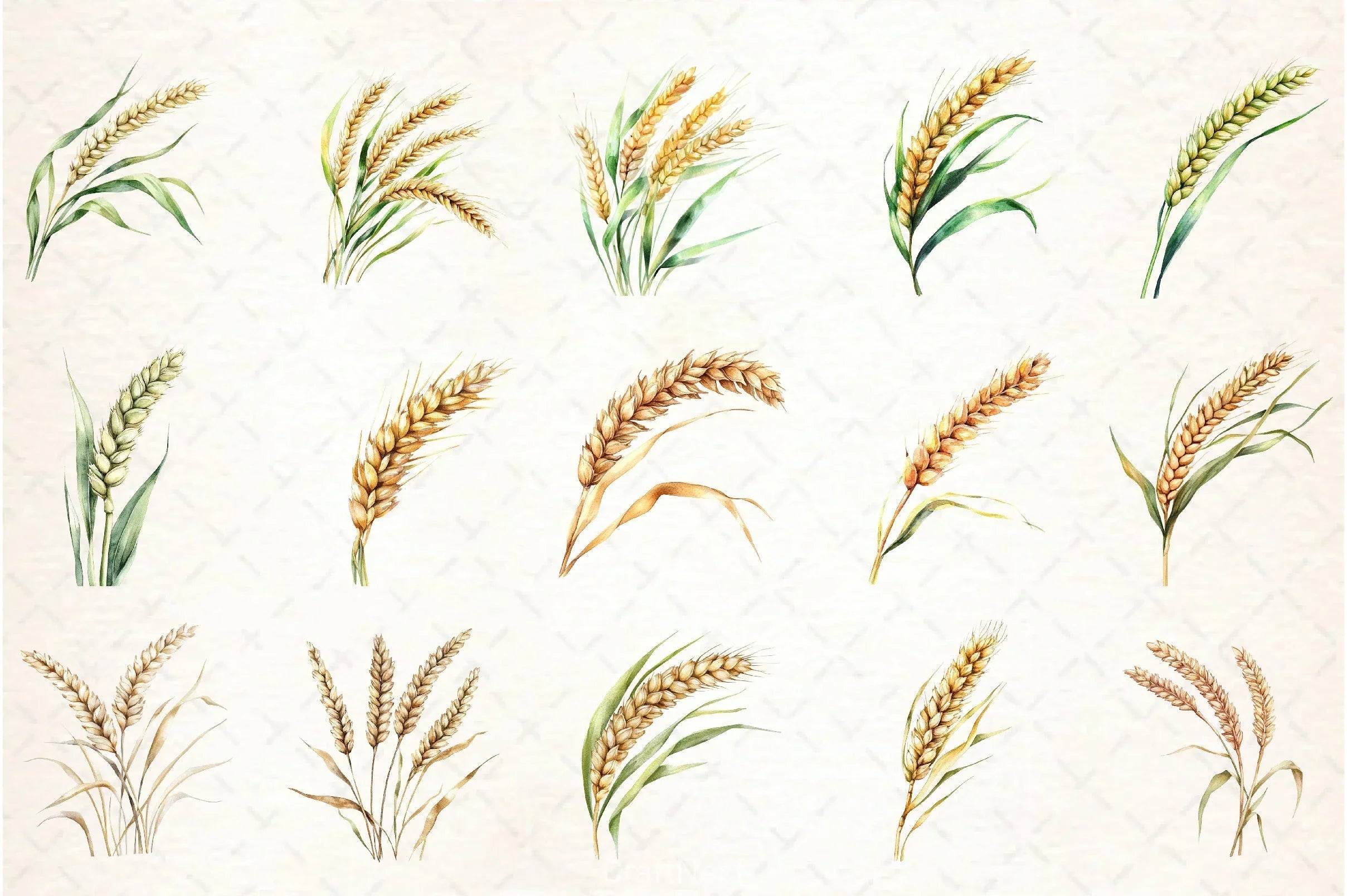 Wheat Clipart Bundle - CraftNest - Digital Crafting and Art
