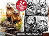 Woodland Animals Coloring Books