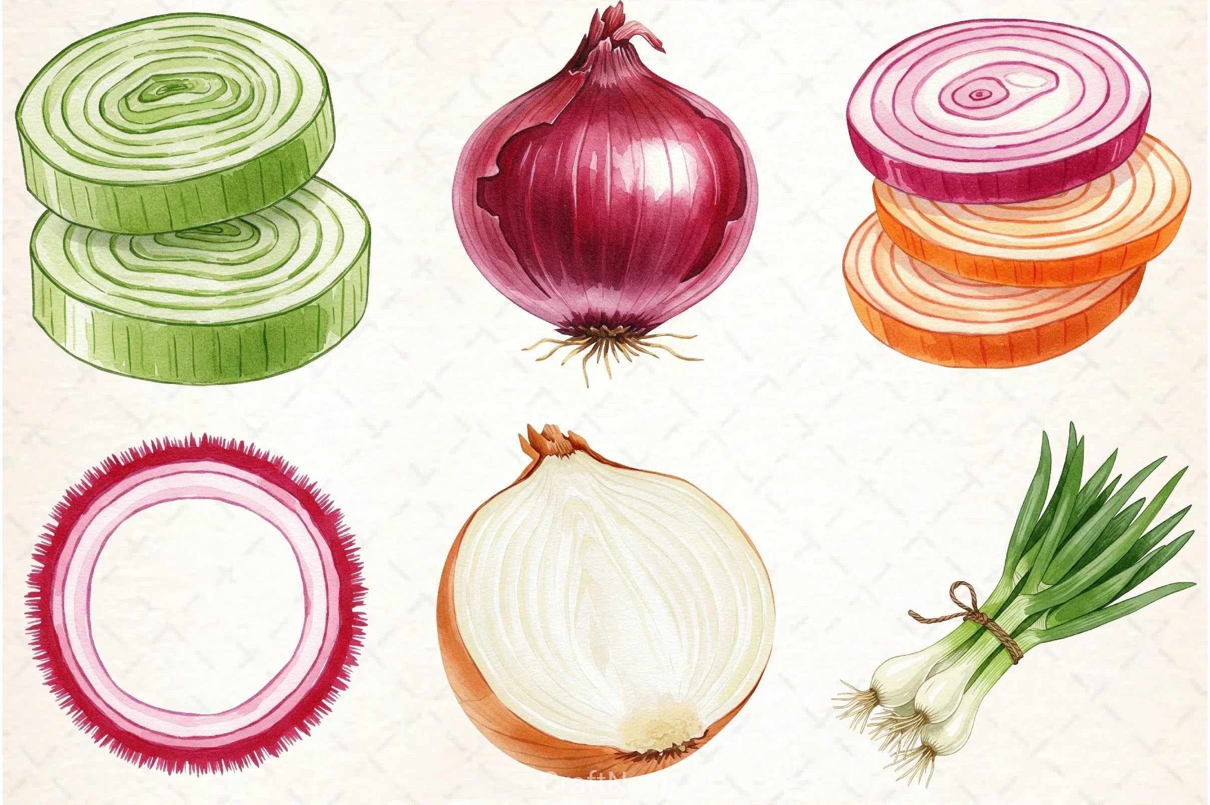 Onion Clipart Bundle 1 - CraftNest - Digital Crafting and Art