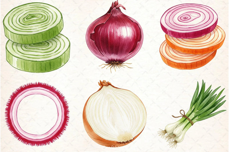 Onion Clipart Bundle - CraftNest - Digital Crafting and Art