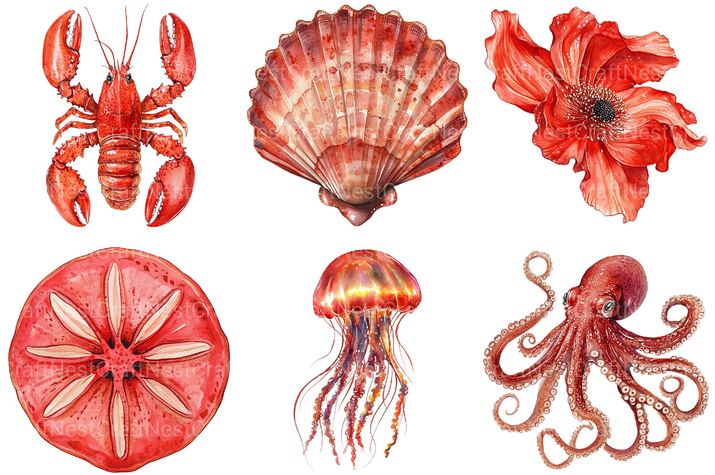 Red Ocean Animals Clipart