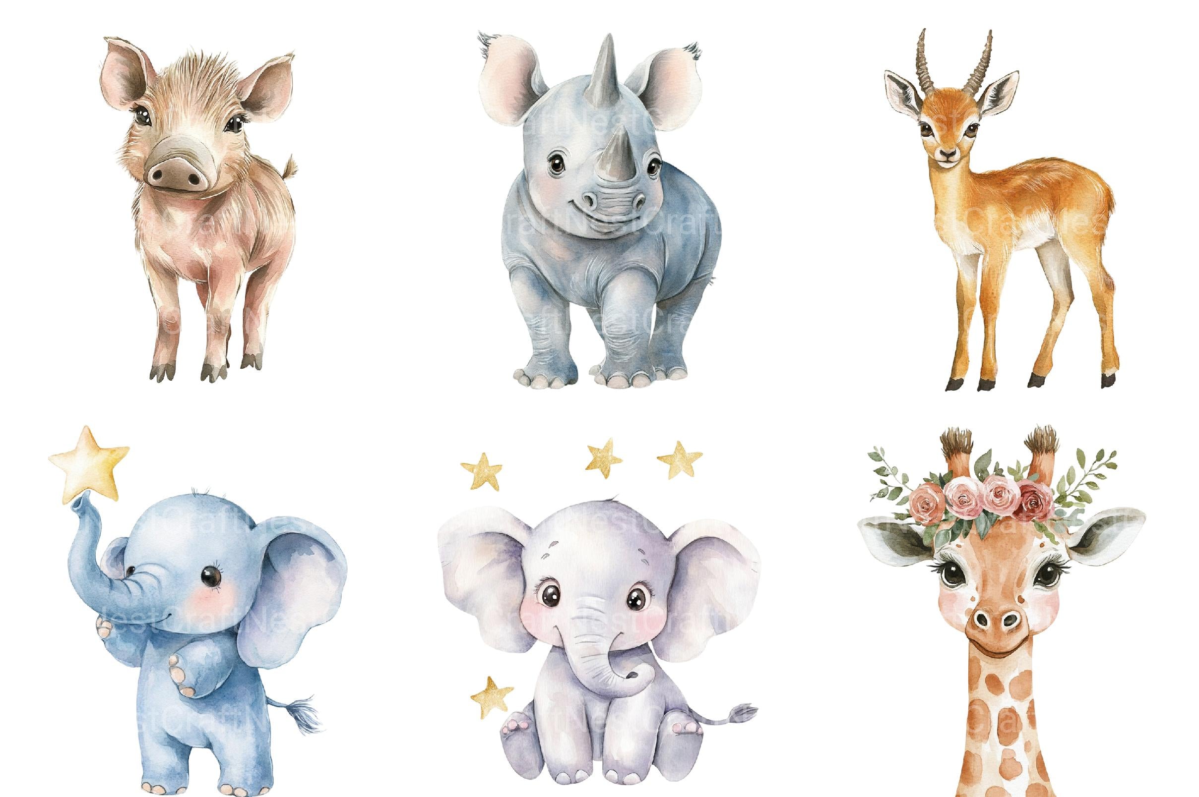 Safari Clipart