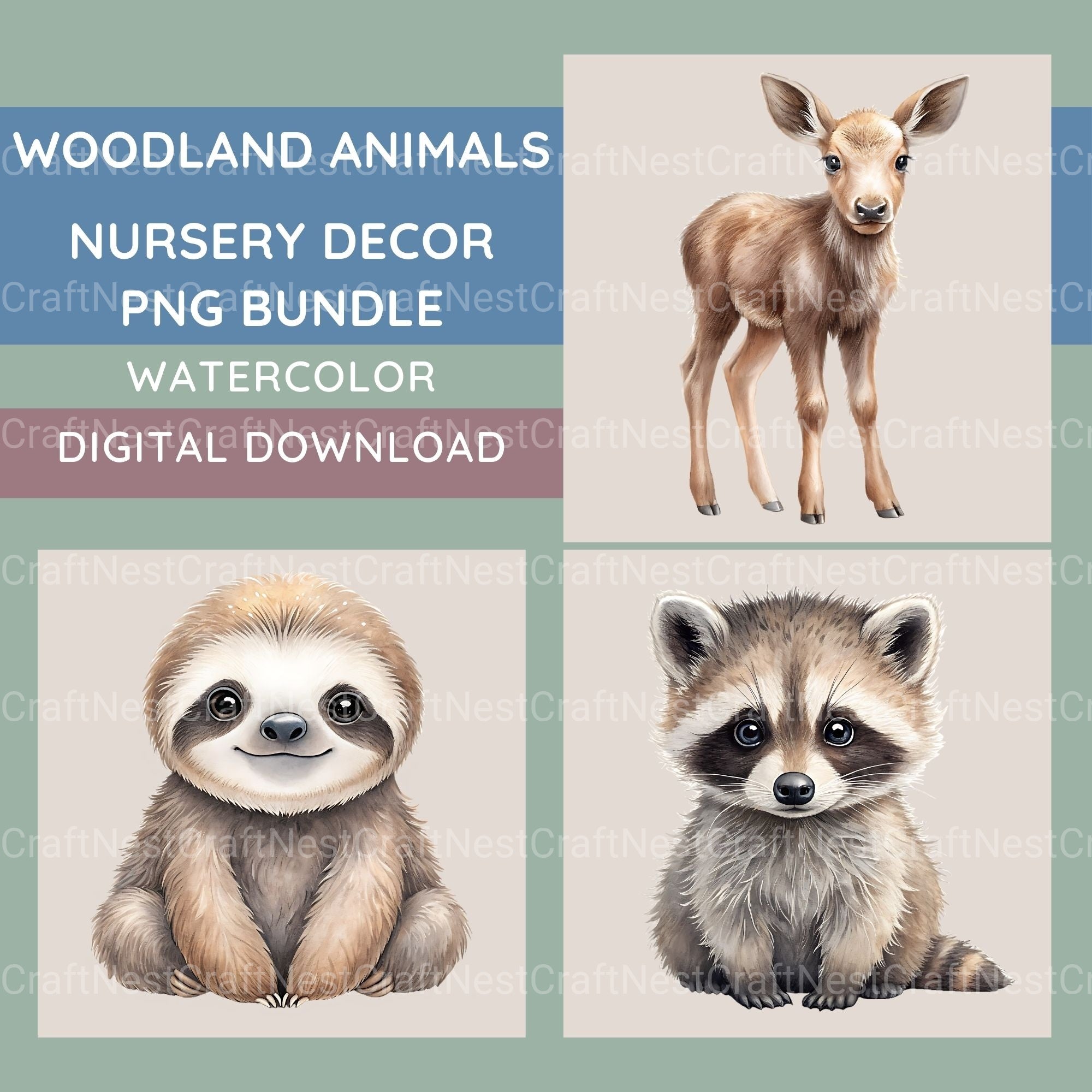 Woodland Animals 1 Clipart Bundle 2