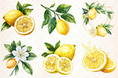 Lemon Clipart Bundle 7 - CraftNest - Digital Crafting and Art