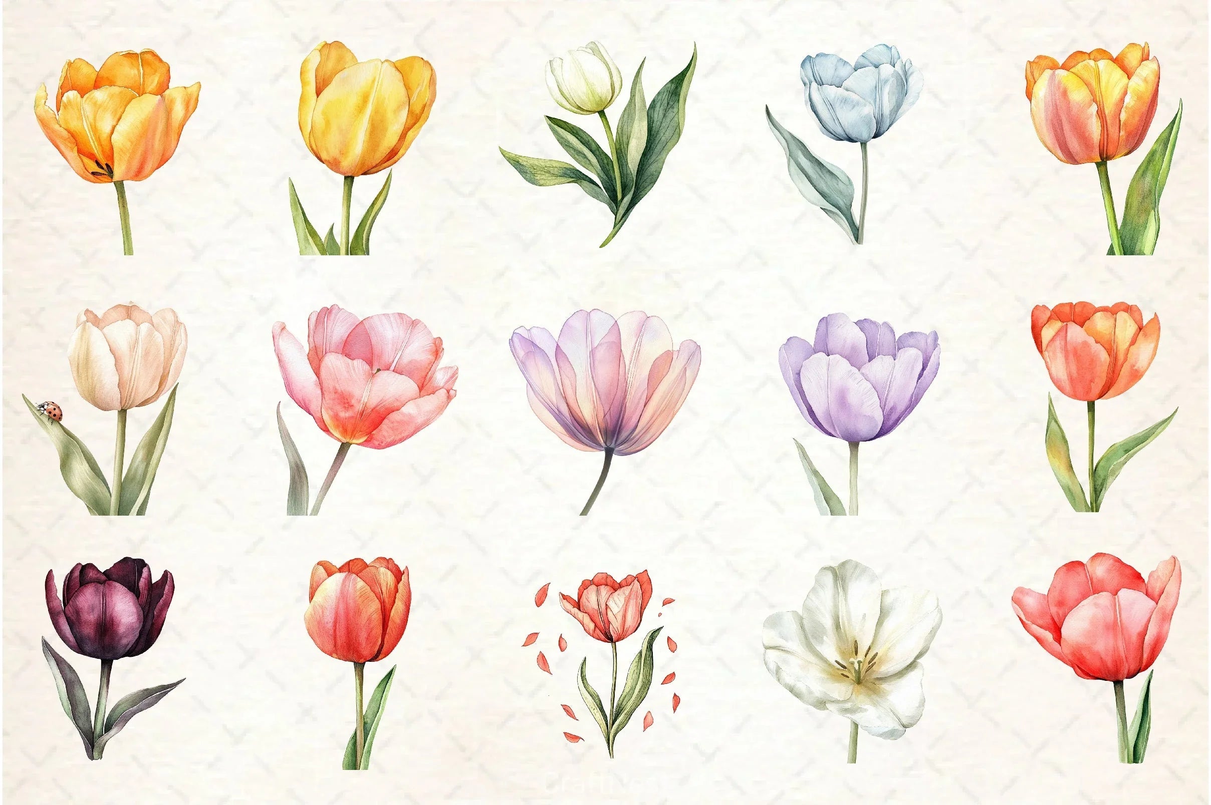 Tulip Flower Clipart Bundle - CraftNest - Digital Crafting and Art