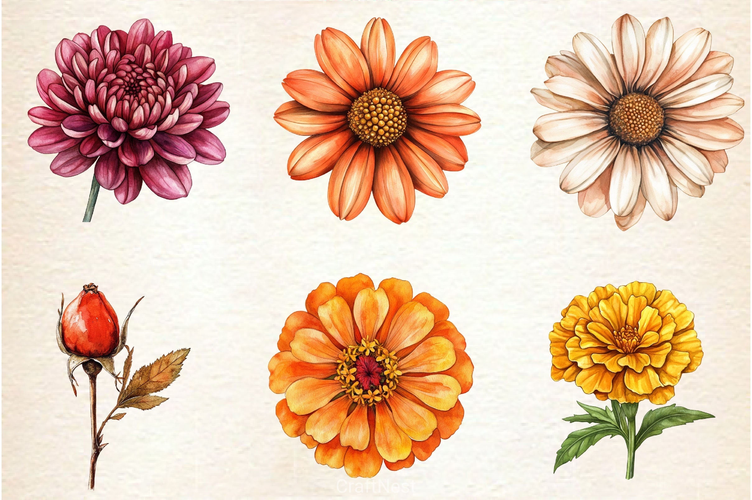 Autumn Wildflowers Clipart Bundle 2