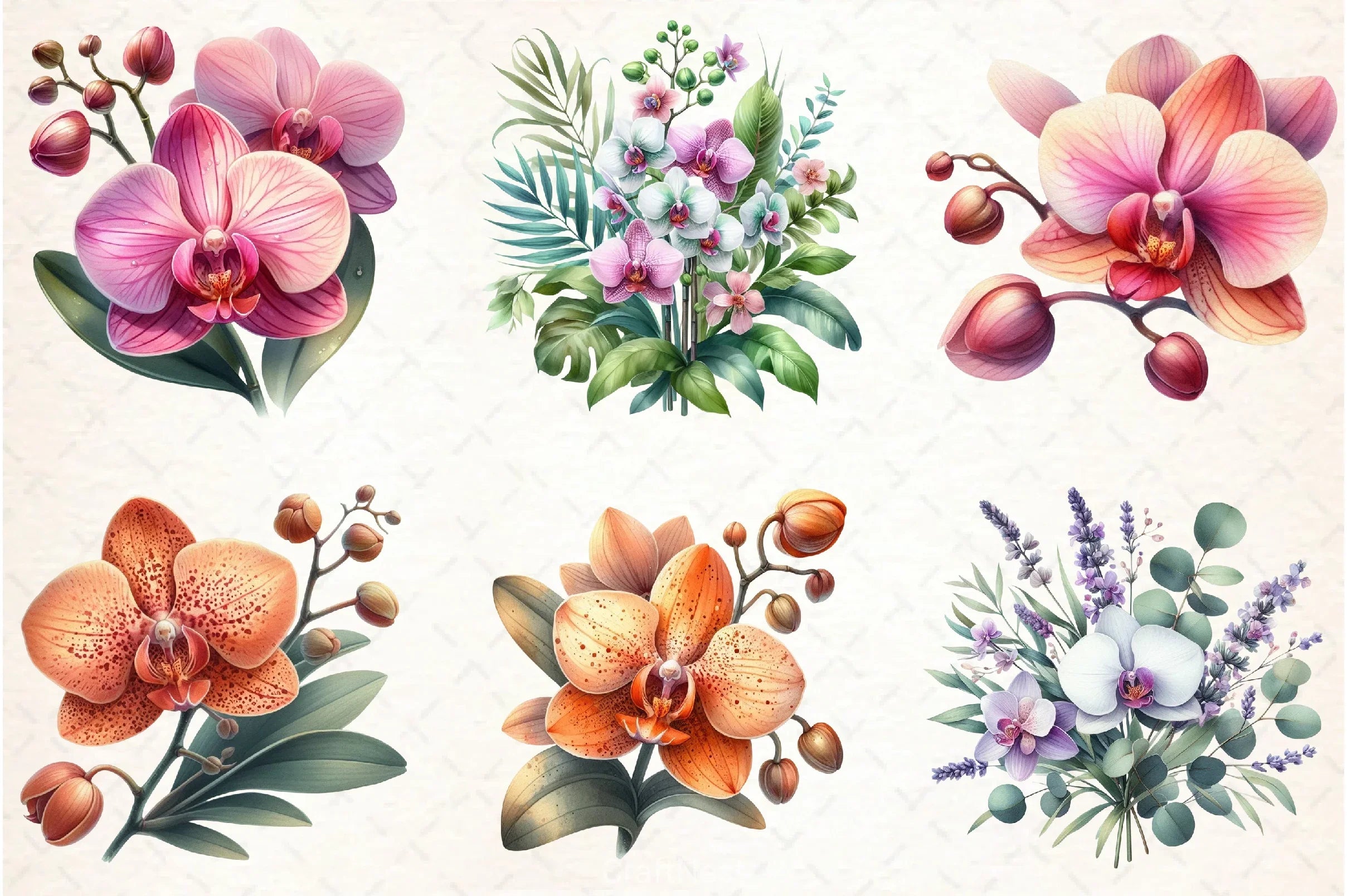 Orchid Clipart Bundle 3 - CraftNest - Digital Crafting and Art
