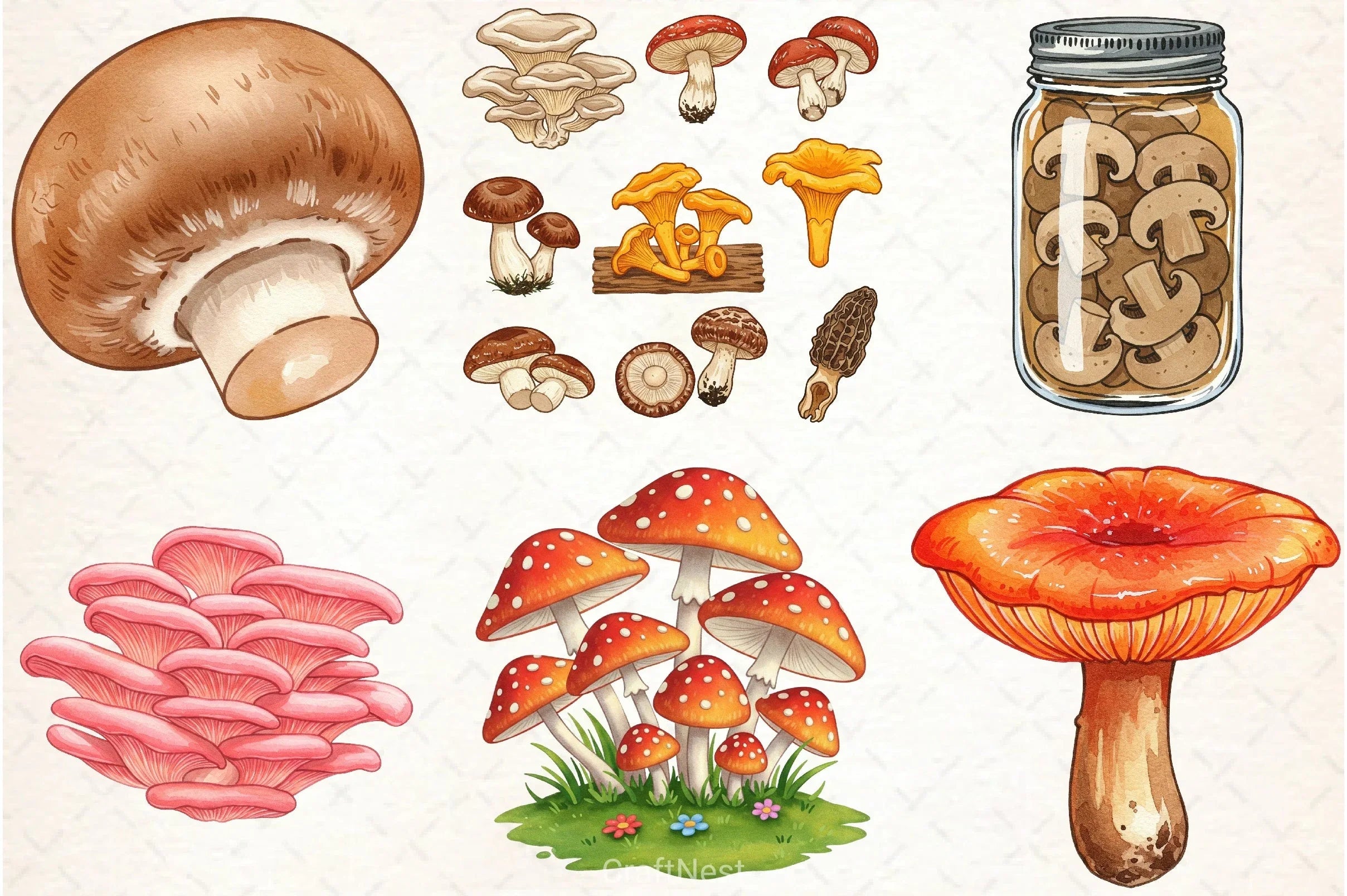 Edible Mushrooms Clipart Bundle 2 - CraftNest - Digital Crafting and Art