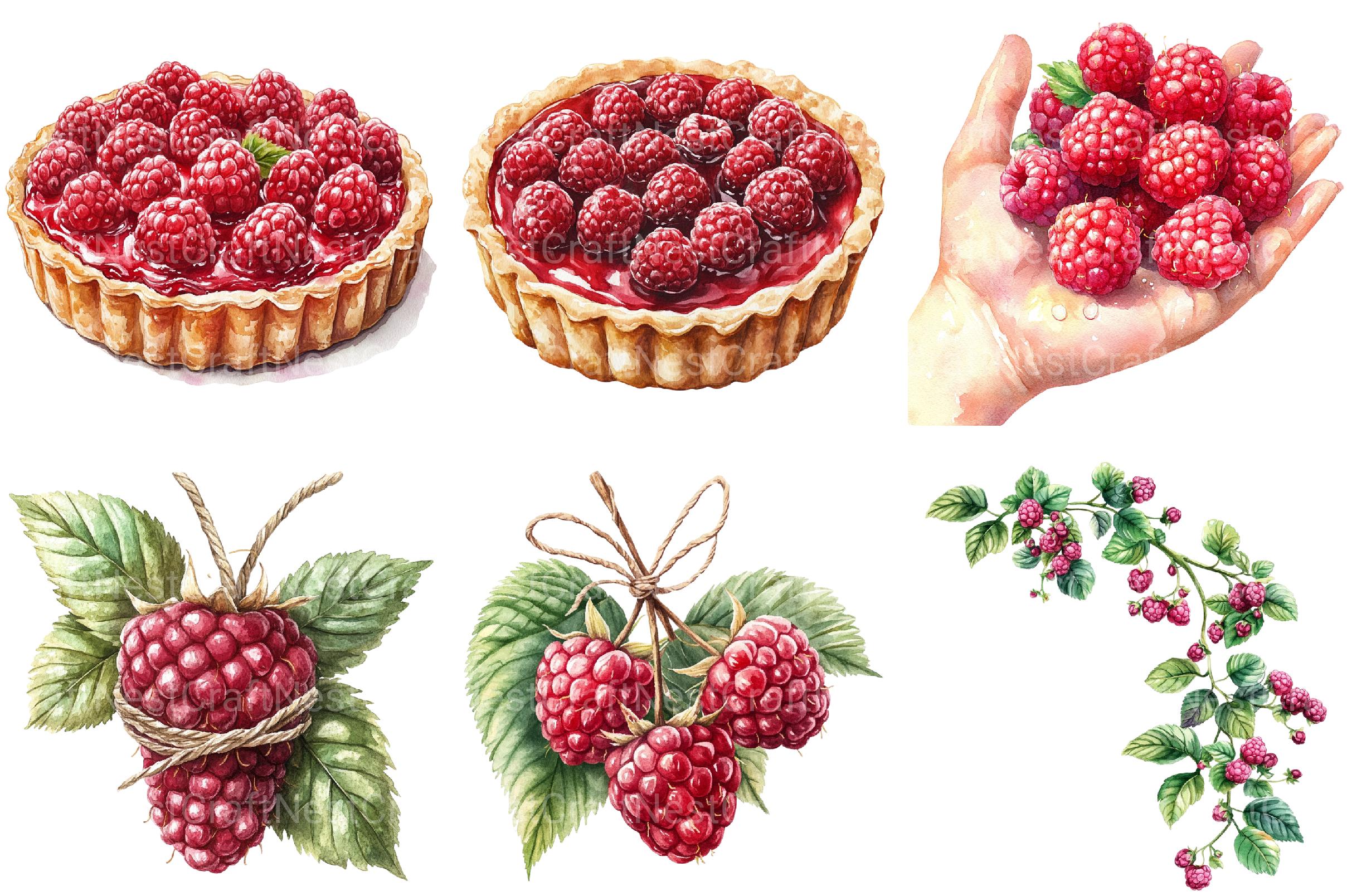 Raspberry Clipart